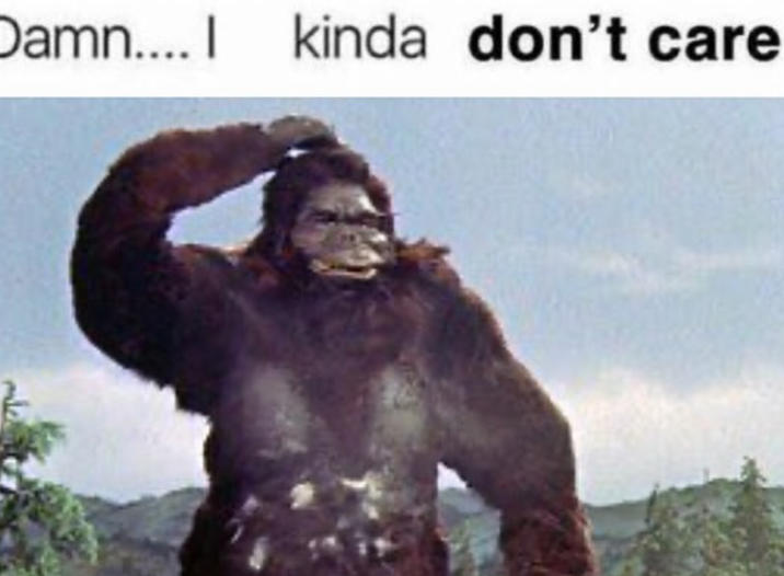 Damn.... I kinda don't care