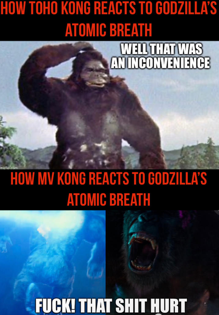 HOW TOHO KONG REACTS TO GODZILLA'S ATOMIC BREATH WELL THAT WAS AN INCONVENIENCE maflip.com HOW MV KONG REACTS TO GODZILLA'S ATOMIC BREATH F---! THAT S--- HURT