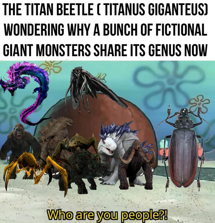 THE TITAN BEETLE (TITANUS GIGANTEUS) WONDERING WHY A BUNCH OF FICTIONAL GIANT MONSTERS SHARE ITS GENUS NOW Who are you people?!