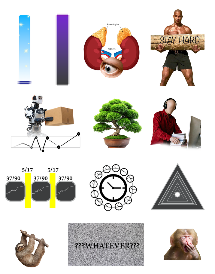 5/17 37/90 www GXO 37/90 5/17 37/90 pngtree 2 0 ???WHATEVER??? Adrenal glan Kidneys STAY HARD