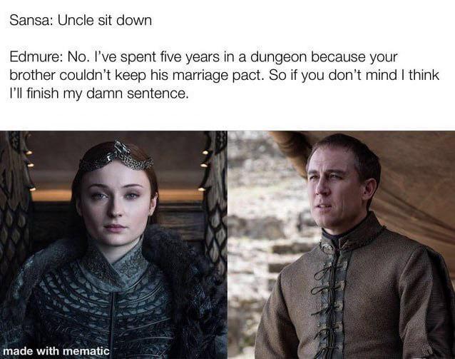 Sansa: Uncle sit down Edmure: No. I've spent five years in a dungeon because your brother couldn't keep his marriage pact. So if you don't mind I think I'll finish my damn sentence. made with mematic