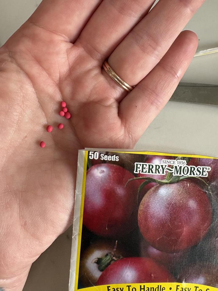 50 Seeds SINCE 1856 FERRY MORSE Fasy To Handle . Easy To C