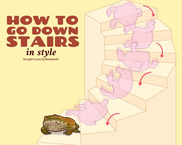 HOW TO GO DOWN STAIRS in style brought to you by Beelzebufo