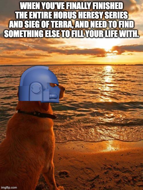 WHEN YOU'VE FINALLY FINISHED THE ENTIRE HORUS HERESY SERIES AND SIEG OF TERRA, AND NEED TO FIND SOMETHING ELSE TO FILL YOUR LIFE WITH. imgflip.com