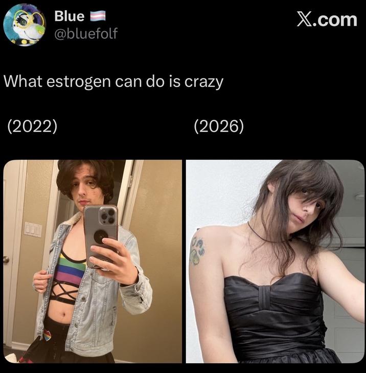 Blue @bluefolf What estrogen can do is crazy (2022) (2026) X.com