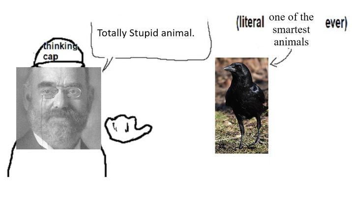 thinking cap (literal Totally Stupid animal. one of the smartest animals ever)