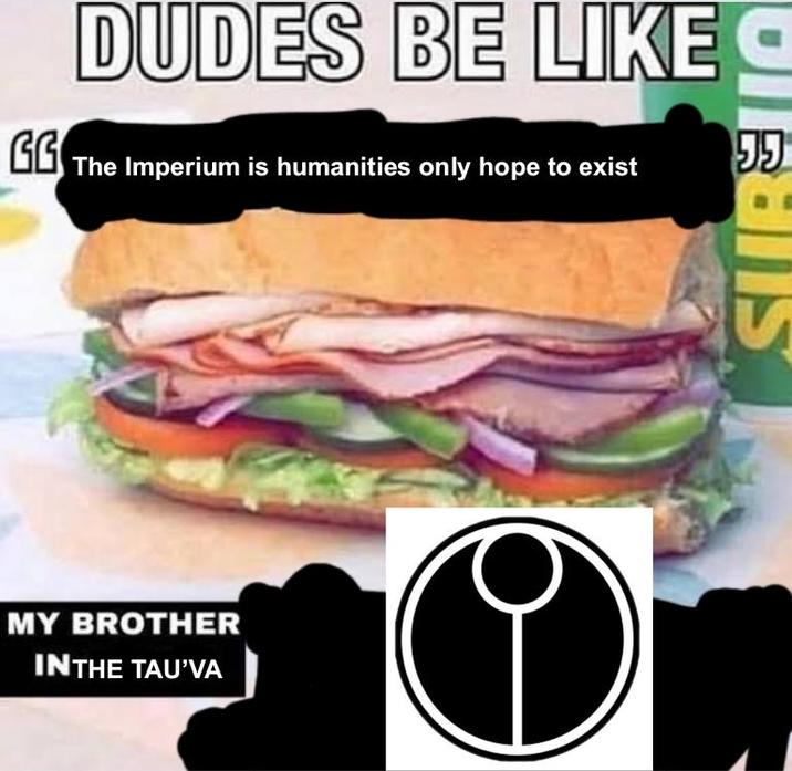 DUDES BE LIKE C GG The Imperium is humanities only hope to exist 55 MY BROTHER IN THE TAU'VA