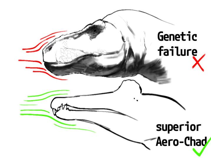 Genetic failure superior Aero-Chad