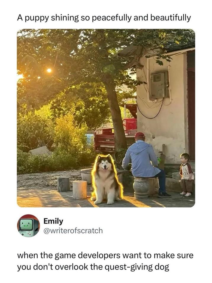 A puppy shining so peacefully and beautifully Emily @writerofscratch when the game developers want to make sure you don't overlook the quest-giving dog