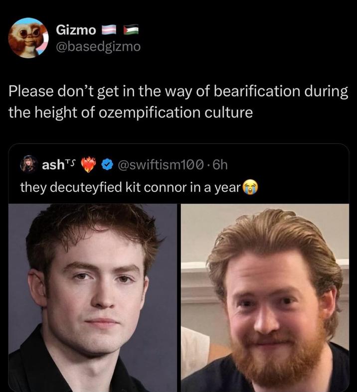 Gizmo @basedgizmo Please don't get in the way of bearification during the height of ozempification culture ashTs @swiftism100.6h they decuteyfied kit connor in a year