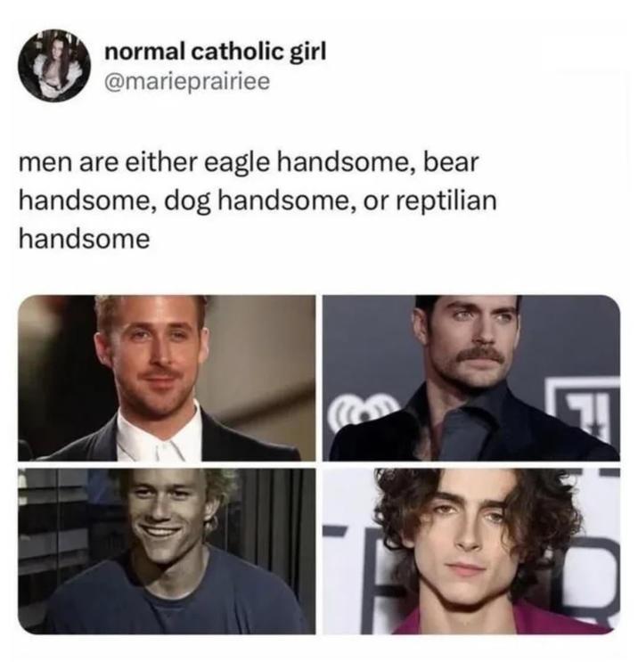 normal catholic girl @marieprairiee men are either eagle handsome, bear handsome, dog handsome, or reptilian handsome 7