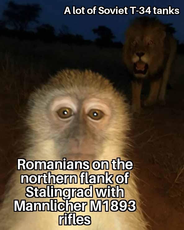 A lot of Soviet T-34 tanks Romanians on the northern flank of Stalingrad with Mannlicher M1893 rifles
