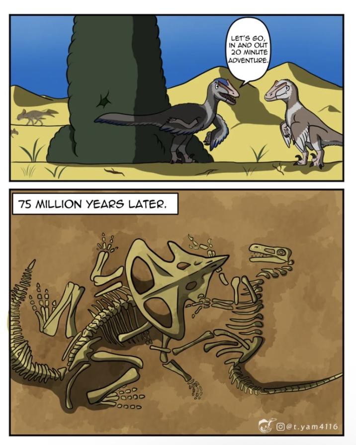 75 MILLION YEARS LATER. 000 0000 LET'S GO, IN AND OUT 20 MINUTE ADVENTURE. @t.yam 4116