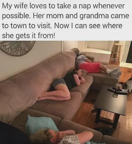 My wife loves to take a nap whenever possible. Her mom and grandma came to town to visit. Now I can see where she gets it from!