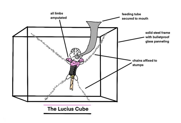 all limbs amputated feeding tube secured to mouth The Lucius Cube solid steel frame with bulletproof glass panneling chains affixed to stumps