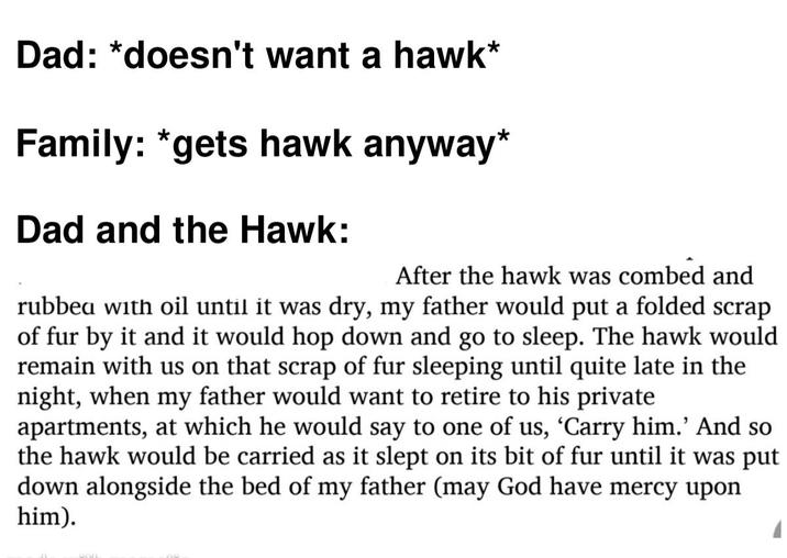 Dad: *doesn't want a hawk* Family: *gets hawk anyway* Dad and the Hawk: After the hawk was combed and rubbed with oil until it was dry, my father would put a folded scrap of fur by it and it would hop down and go to sleep. The hawk would remain with us on that scrap of fur sleeping until quite late in the night, when my father would want to retire to his private apartments, at which he would say to one of us, 'Carry him.' And so the hawk would be carried as it slept on its bit of fur until it was put down alongside the bed of my father (may God have mercy upon him).