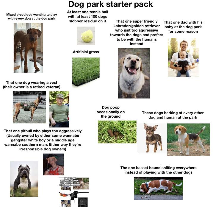 Mixed breed dog wanting to play with every dog at the dog park Dog park starter pack At least one tennis ball with at least 100 dogs slobber residue on it That one super friendly Labrador/golden retriever who isnt too aggressive towards the dogs and prefers to be with the humans instead That one dad with his baby at the dog park for some reason That one dog wearing a vest (their owner is a retired veteran) Artificial grass That one pitbull who plays too aggressively (Usually owned by either some wannabe gangster white boy or a middle age wannabe southern man. Either way they're irresponsible dog owners) GUY AT THE DOG PARK WHOSE DOG WON'T STOP ATTACKING ALL THE OTHER DOGS STARTER PACK Dog poop occasionally on the ground These dogs barking at every other dog and human at the park The one basset hound sniffing everywhere instead of playing with the other dogs