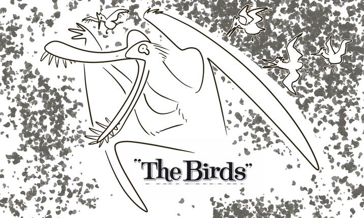 "The Birds"