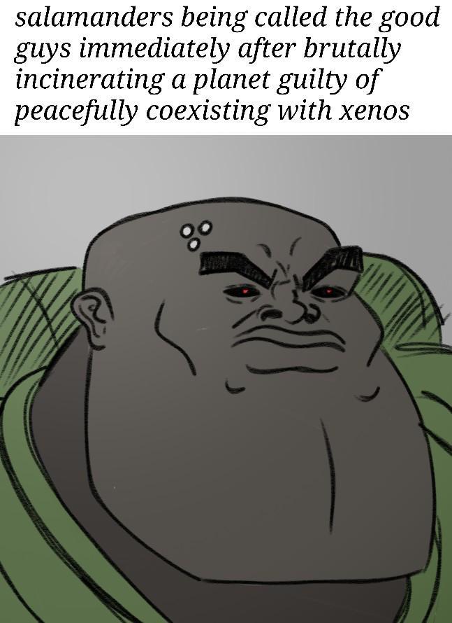 salamanders being called the good guys immediately after brutally incinerating a planet guilty of peacefully coexisting with xenos