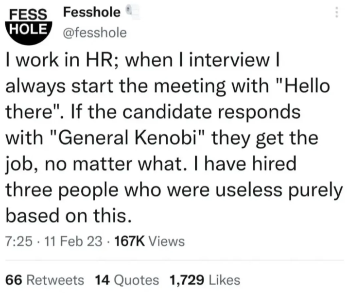 FESS Fesshole HOLE @fesshole I work in HR; when I interview I always start the meeting with "Hello there". If the candidate responds with "General Kenobi" they get the job, no matter what. I have hired three people who were useless purely based on this. 7:25 11 Feb 23. 167K Views 66 Retweets 14 Quotes 1,729 Likes
