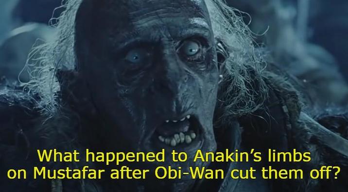 What happened to Anakin's limbs on Mustafar after Obi-Wan cut them off?