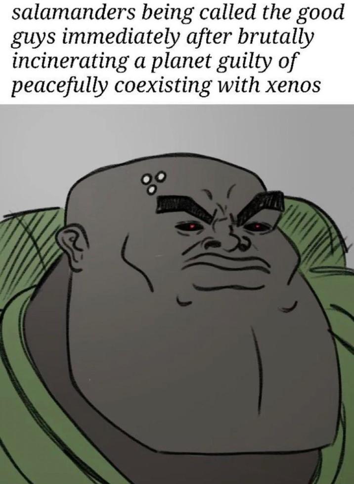 salamanders being called the good guys immediately after brutally incinerating a planet guilty of peacefully coexisting with xenos