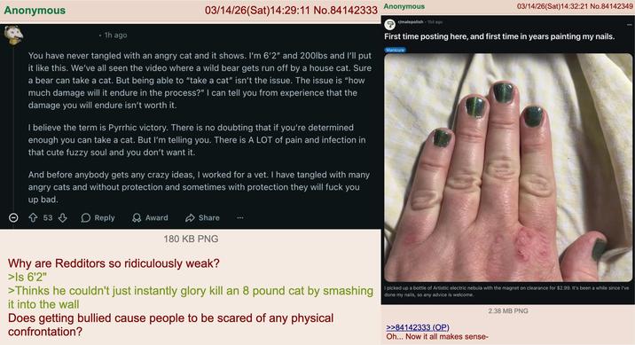 Anonymous 03/14/26(Sat) 14:29:11 No.84142333 Anonymous 49 r/malepolish .15d ago 03/14/26(Sat)14:32:21 No.84142349 1h ago You have never tangled with an angry cat and it shows. I'm 6'2" and 200lbs and I'll put it like this. We've all seen the video where a wild bear gets run off by a house cat. Sure a bear can take a cat. But being able to "take a cat" isn't the issue. The issue is "how much damage will it endure in the process?" I can tell you from experience that the damage you will endure isn't worth it. I believe the term is Pyrrhic victory. There is no doubting that if you're determined enough you can take a cat. But I'm telling you. There is A LOT of pain and infection in that cute fuzzy soul and you don't want it. And before anybody gets any crazy ideas, I worked for a vet. I have tangled with many angry cats and without protection and sometimes with protection they will f--- you up bad. First time posting here, and first time in years painting my nails. Manicure 53 > Reply Award Share 180 KB PNG Why are Redditors so ridiculously weak? >Is 6'2" >Thinks he couldn't just instantly glory kill an 8 pound cat by smashing it into the wall Does getting bullied cause people to be scared of any physical confrontation? I picked up a bottle of Artistic electric nebula with the magnet on clearance for $2.99. It's been a while since I've done my nails, so any advice is welcome. >>84142333 (OP) Oh... Now it all makes sense- 2.38 MB PNG