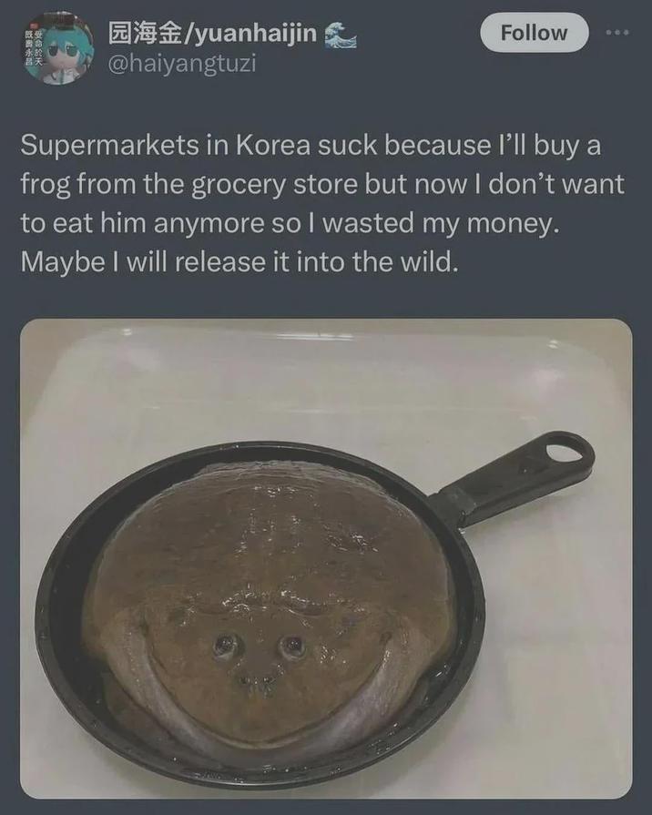·受命於天 园海金/yuanhaijin @haiyangtuzi Follow 600 Supermarkets in Korea suck because I'll buy a frog from the grocery store but now I don't want to eat him anymore so I wasted my money. Maybe I will release it into the wild.