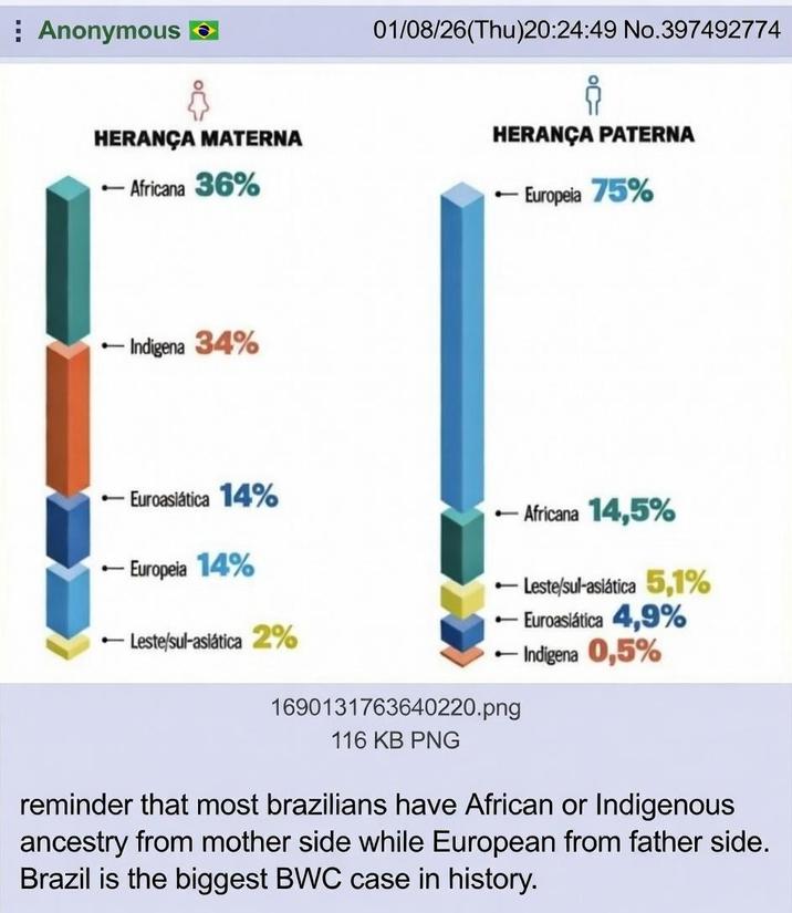 Anonymous 01/08/26(Thu)20:24:49 No.397492774 HERANÇA MATERNA - Africana 36% HERANÇA PATERNA -Europeia 75% - Indigena 34% - -Euroasiática 14% - -Africana 14,5% -Europeia 14% -Leste/sul-asiática 2% -Leste/sul-asiática 5,1% -Euroasiática 4,9% -Indigena 0,5% 1690131763640220.png 116 KB PNG reminder that most brazilians have African or Indigenous ancestry from mother side while European from father side. Brazil is the biggest BWC case in history.