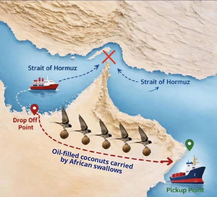 Strait of Hormuz Strait of Hormuz Drop Off Point Oil-filled coconuts carried by African swallows Pickup Point