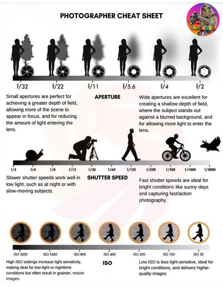 PHOTOGRAPHER CHEAT SHEET 恰恰恰恰恰 F/32 F/22 Small apertures are perfect for achieving a greater depth of field, allowing more of the scene to appear in focus, and for reducing the amount of light entering the lens. F/11 f/5.6 APERTURE F/4 F/2 Wide apertures are excellent for creating a shallow depth of field, where the subject stands out against a blurred background, and for allowing more light to enter the lens. 1/2 1/4 1/8 1/15 Slower shutter speeds work well in low light, such as at night or with slow-moving subjects. ISO 3200 ISO 1600 1/30 1/60 1/125 1/250 1/500 1/1000 1/2000 SHUTTER SPEED Fast shutter speeds are ideal for bright conditions like sunny days and capturing fast/action photography. ISO 800 ISO 400 ISO 200 ISO High ISO settings increase light sensitivity, making deal for low-light or nighttime conditions but often result in grainier, noisier images. ISO 100 ISO 50 Low ISO is less light-sensitive, ideal for bright conditions, and delivers higher- quality images