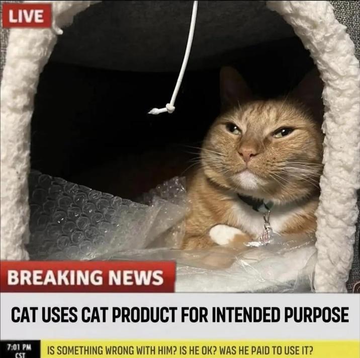 LIVE BREAKING NEWS CAT USES CAT PRODUCT FOR INTENDED PURPOSE 7:01 PM CST IS SOMETHING WRONG WITH HIM? IS HE OK? WAS HE PAID TO USE IT?