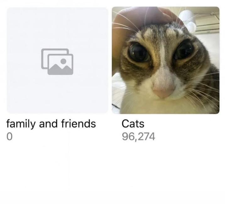 R family and friends 0 Cats 96,274