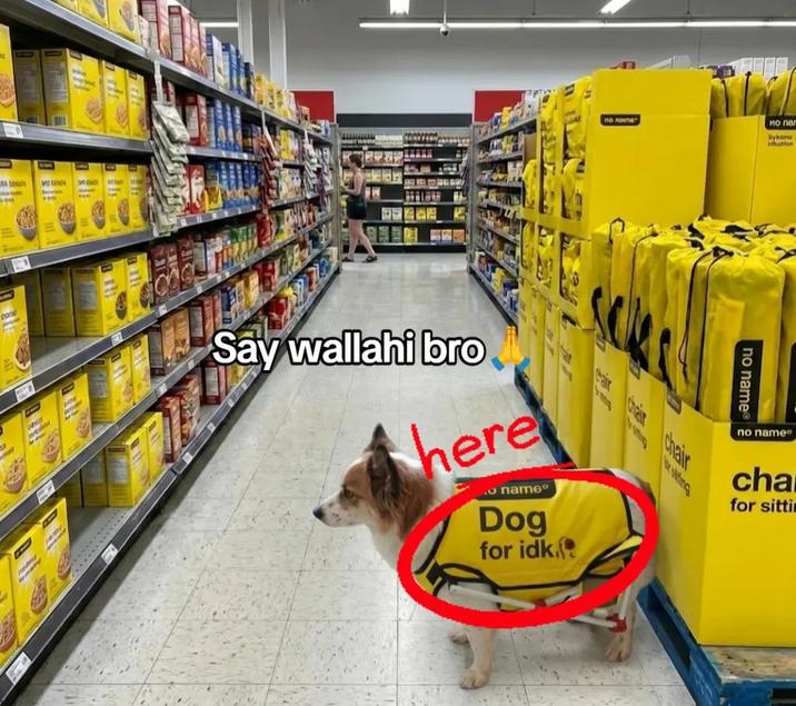 SA 1000 MOD pool no none chair chair chair sking Say wallahi bro here .name Dog for idk. по паг Sykome shution no name no name cha for sittin