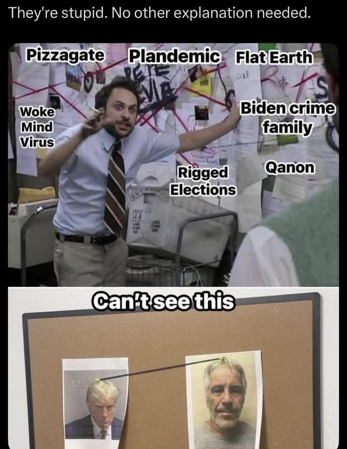 They're stupid. No other explanation needed. Pizzagate Plandemic Flat Earth Woke Mind Biden crime family Virus Rigged Elections Qanon Can't see this