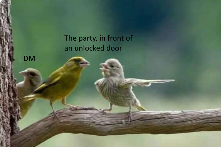 DM The party, in front of an unlocked door