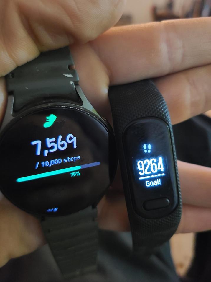 7,569 / 10,000 steps 75% 9264 Goal!