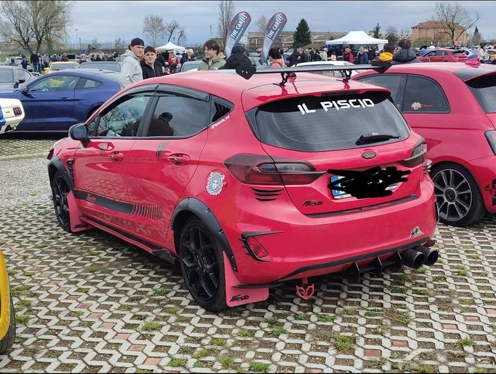 Teste 648 THE CAR[E] THE CAR[E] IL PISCIO