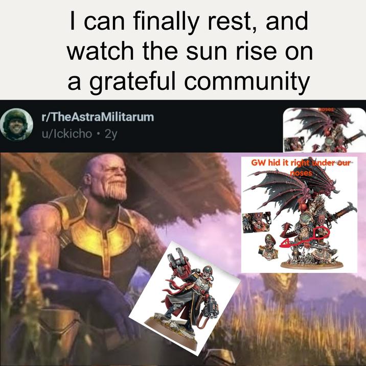 I can finally rest, and watch the sun rise on a grateful community r/TheAstraMilitarum u/lckicho • 2y 70505S GW hid it right under our noses