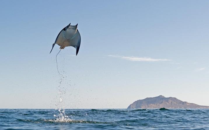 25 Photos Snapped At The Perfect Moment | Know Your Meme