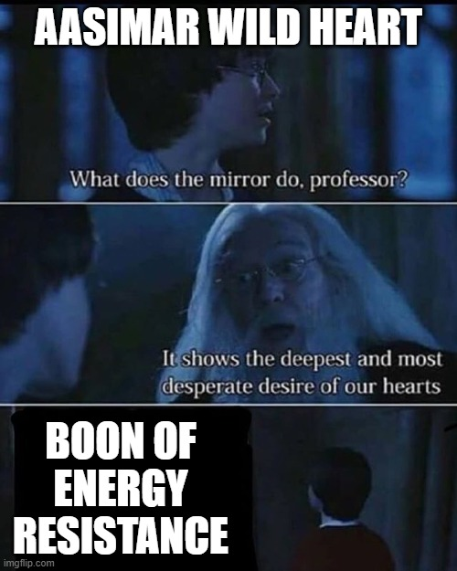 AASIMAR WILD HEART What does the mirror do, professor? It shows the deepest and most desperate desire of our hearts BOON OF ENERGY RESISTANCE imgflip.com