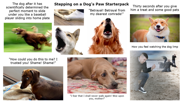 The dog after it has scientifically determined the perfect moment to slide under you like a baseball player sliding into home plate Stepping on a Dog's Paw Starterpack Thirty seconds after you give "Betrayal! Betrayal from my dearest comrade!" him a treat and some good pats "How could you do this to me? I trusted you! Shame! Shame!" "I fear that I shall never walk again! Woe upon you, mother!" How you feel watching the dog limp