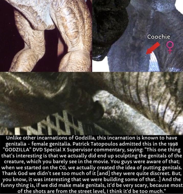 Coochie Unlike other incarnations of Godzilla, this incarnation is known to have genitalia - female genitalia. Patrick Tatopoulos admitted this in the 1998 "GODZILLA" DVD Special X Supervisor commentary, saying: "This one thing that's interesting is that we actually did end up sculpting the genitals of the creature, which you barely see in the movie. You guys were aware of that; when we started on the CG, we actually created the idea of putting genitals. Thank God we didn't see too much of it [and] they were quite discreet. But, you know, it was interesting that we were building some of that..] And the funny thing is, if we did make male genitals, it'd be very scary, because most of the shots are from the street level, I think it'd be too much."