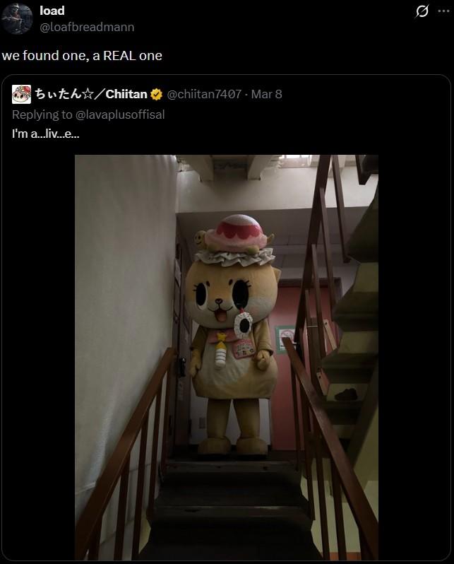load @loafbreadmann we found one, a REAL one buth/Chiitan Replying to @lavaplusoffisal I'm a...liv...e... @chiitan7407 - Mar 8 500