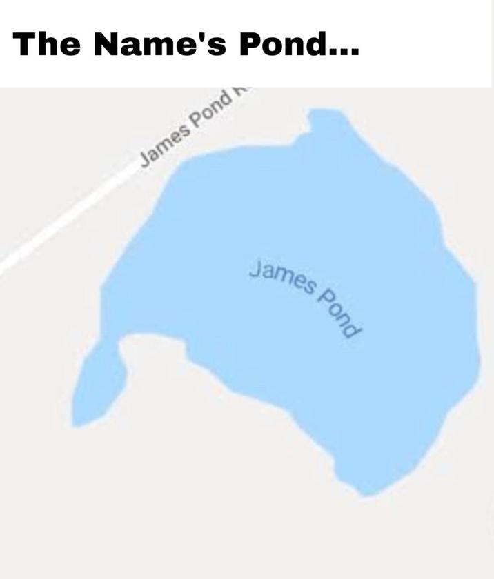 The Name's Pond... James Pond James Pond