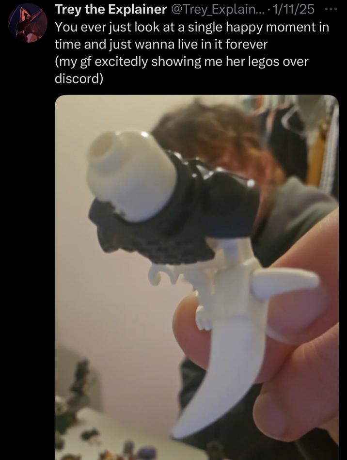 Trey the Explainer @Trey_Explain... · 1/11/25 You ever just look at a single happy moment in time and just wanna live in it forever (my gf excitedly showing me her legos over discord)