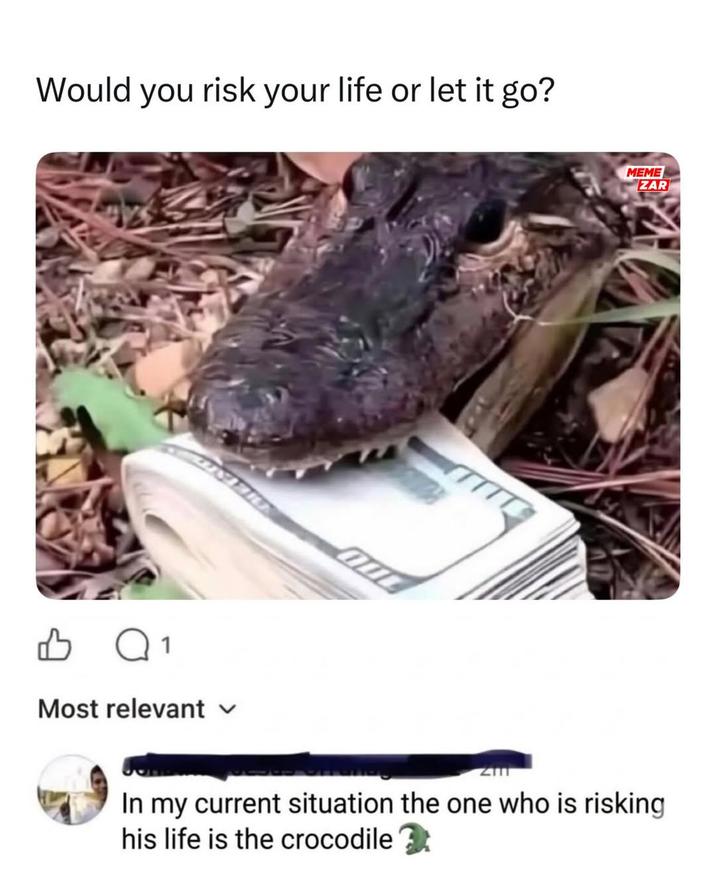 Would you risk your life or let it go? ♡ Q1 Most relevant ✓ MEME ZAR In my current situation the one who is risking his life is the crocodile 2