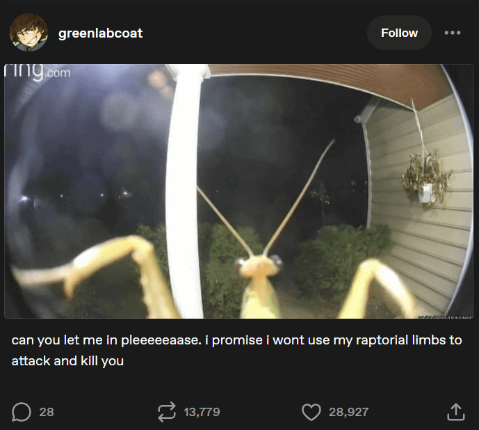 greenlabcoat Follow ring.com can you let me in pleeeeeaase. i promise i wont use my raptorial limbs to attack and kill you 28 13,779 28,927 ↑