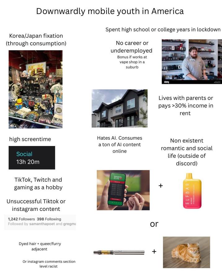 Downwardly mobile youth in America Korea/Japan fixation (through consumption) Spent high school or college years in lockdown No career or underemployed Bonus if works at vape shop in a suburb high screentime Social 13h 20m 30% NEPIE alamy Lives with parents or pays >30% income in rent Hates Al. Consumes a ton of Al content online Non existent romantic and social life (outside of discord) TikTok, Twitch and gaming as a hobby Unsuccessful Tiktok or instagram content 1,242 Followers 398 Following Followed by samanthapoet and gregma SPORTS or + Dyed hair + queer/furry adjacent Or instagram comments section level racist + ELFBAR