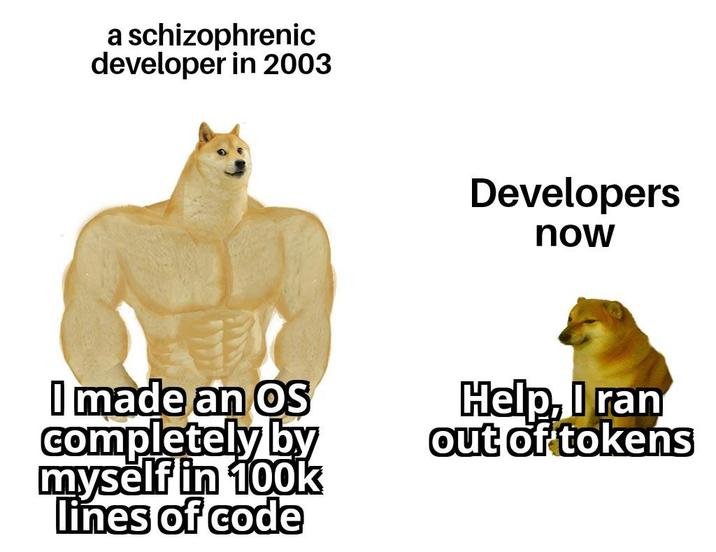a schizophrenic developer in 2003 Developers now I made an OS completely by myself in 100k lines of code Help, I ran out of tokens